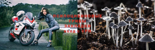 дурь Алексеевка
