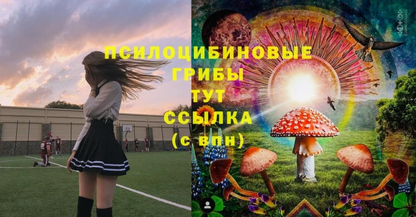 не бодяженный Алзамай